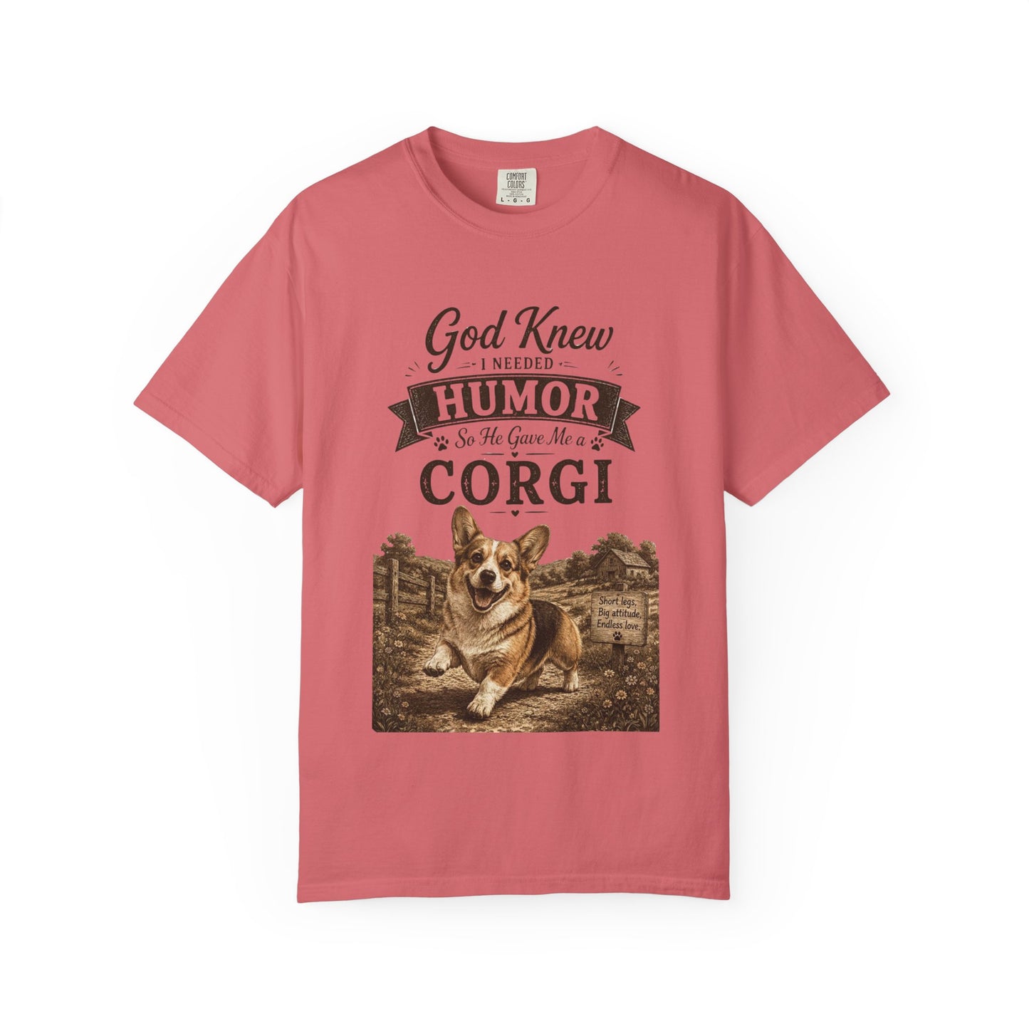 God Knew I Needed a Corgi