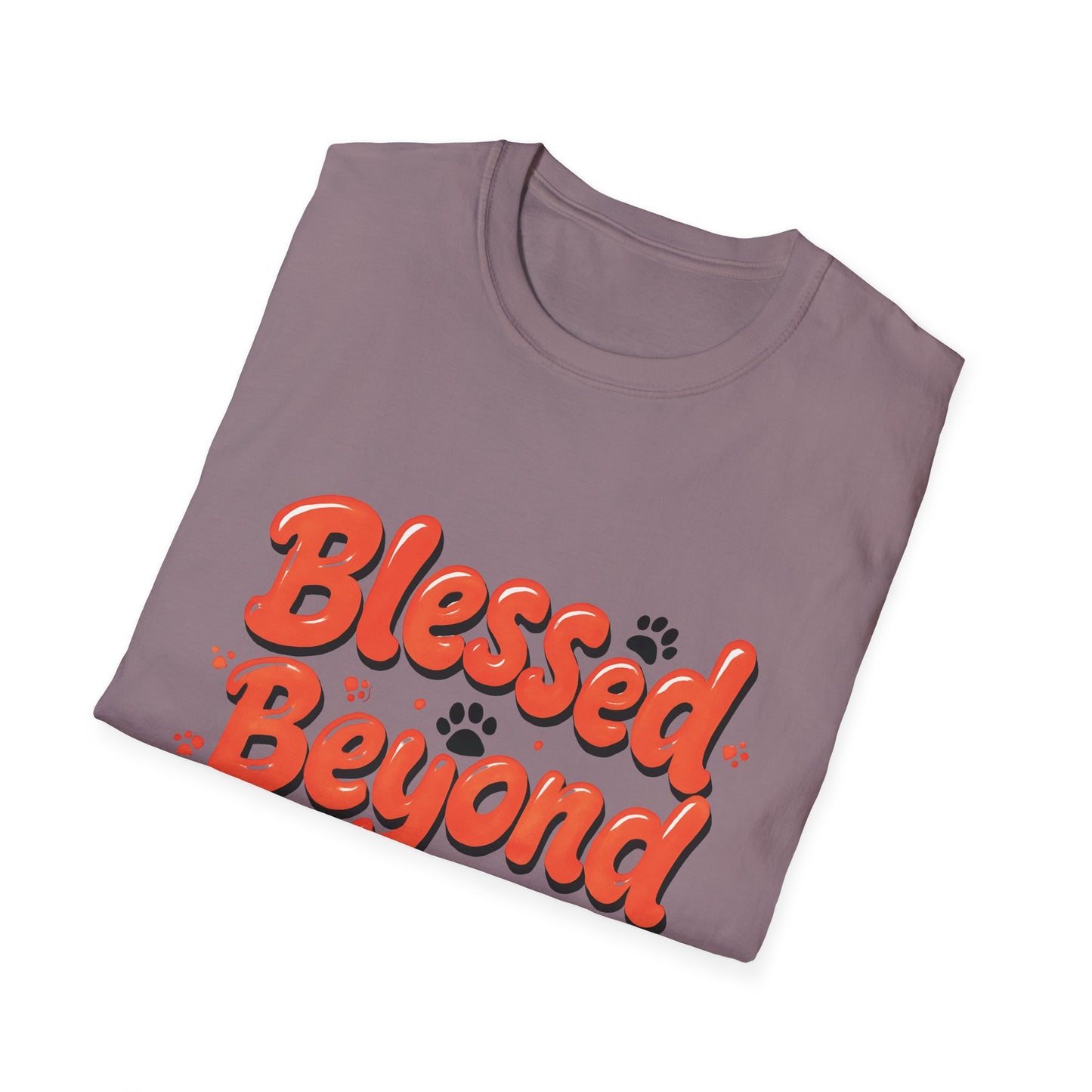 Blessed Beyond Measure T-Shirt