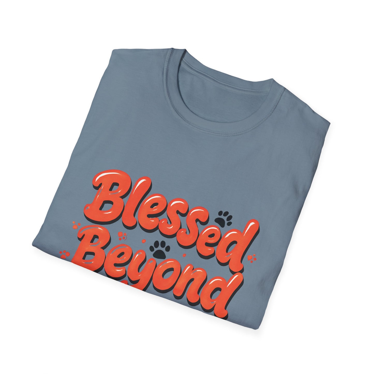 Blessed Beyond Measure T-Shirt