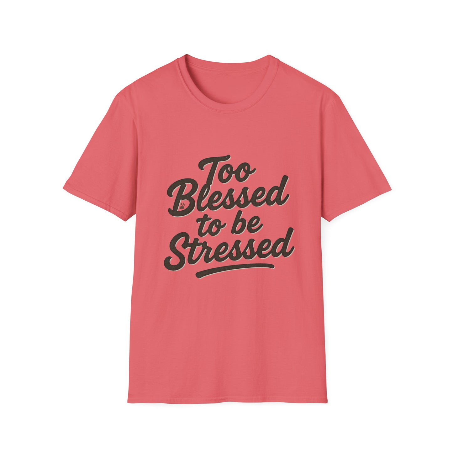 Too Blessed To Be Stressed T-Shirt