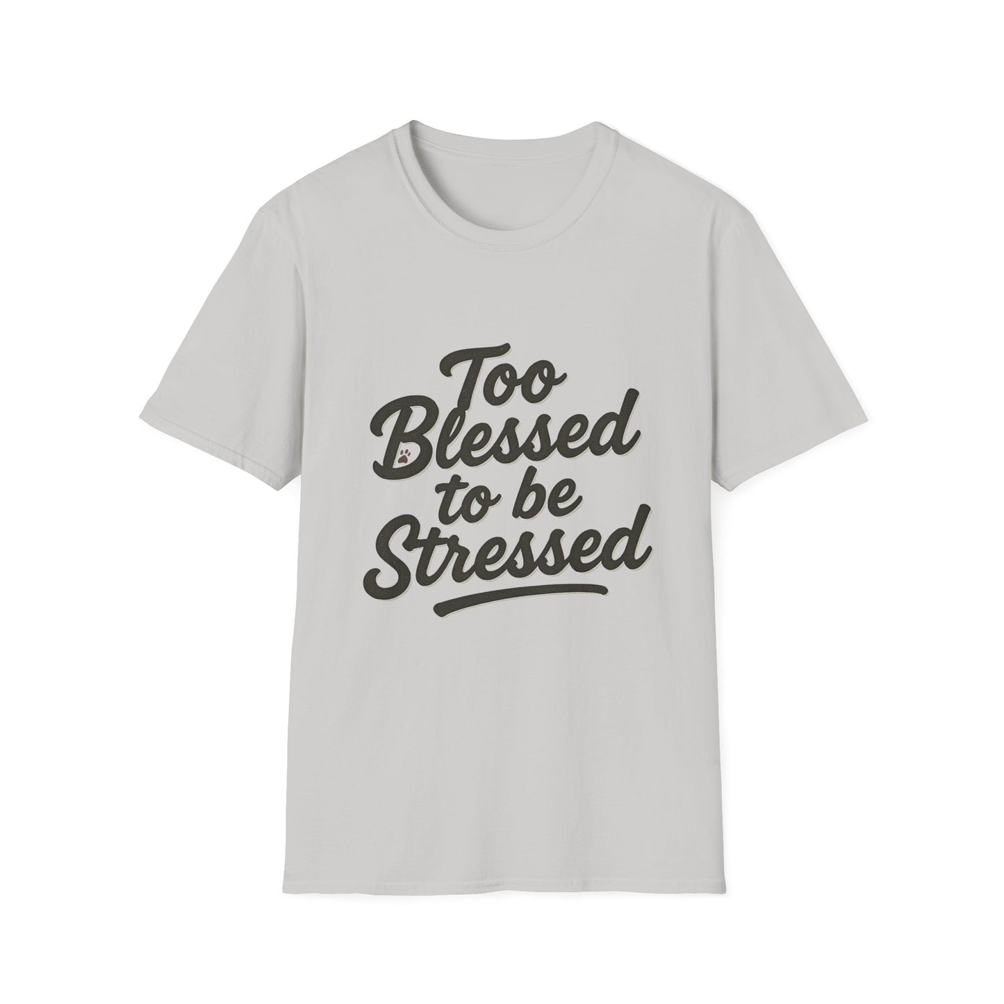 Too Blessed To Be Stressed T-Shirt