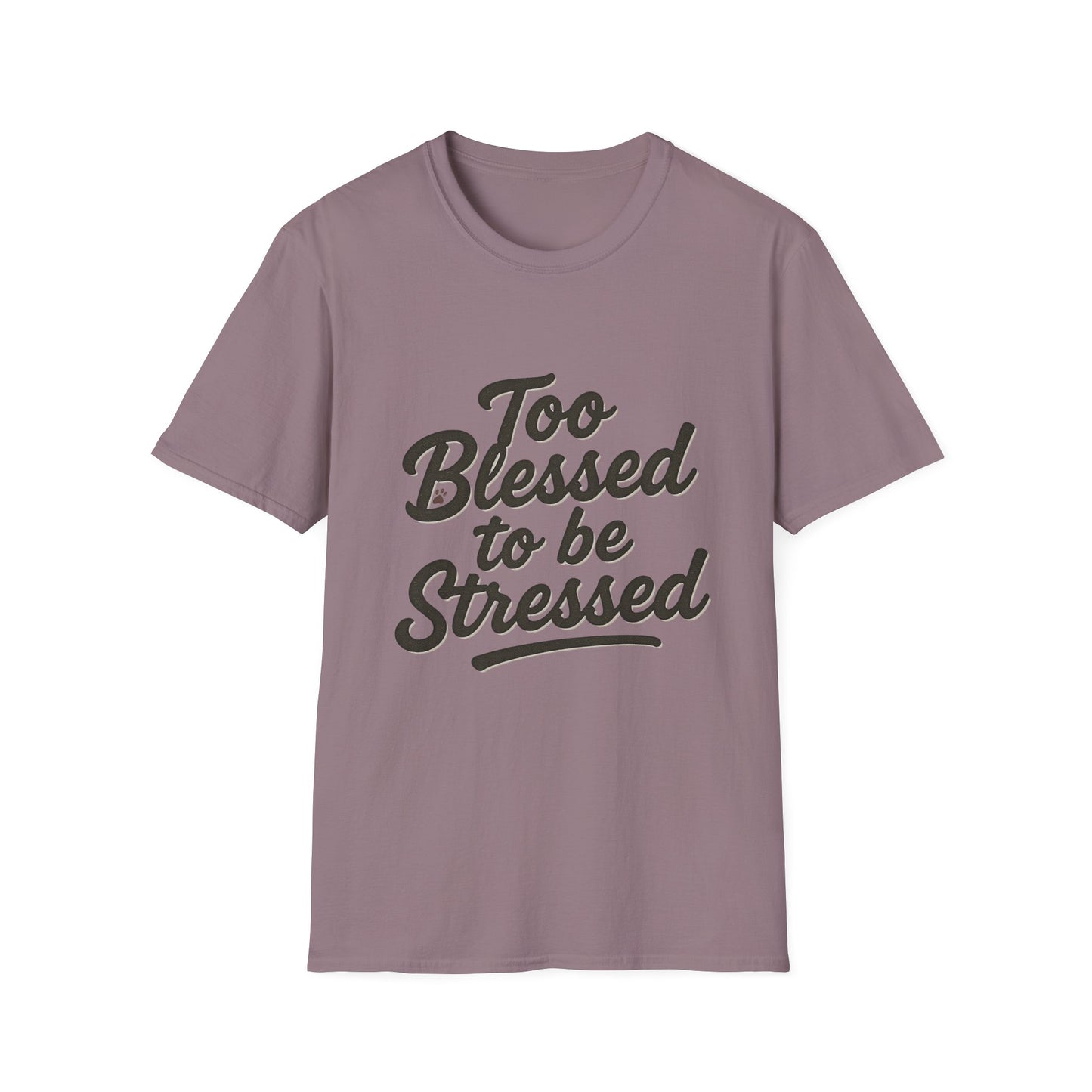 Too Blessed To Be Stressed T-Shirt