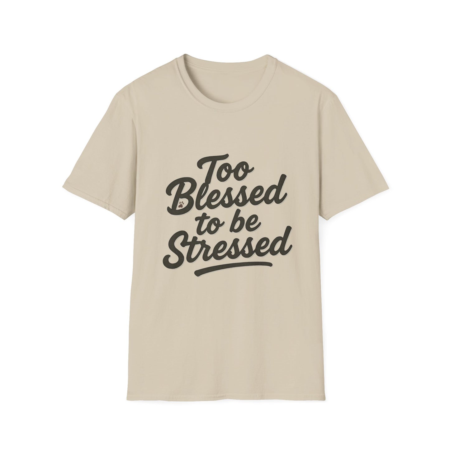 Too Blessed To Be Stressed T-Shirt