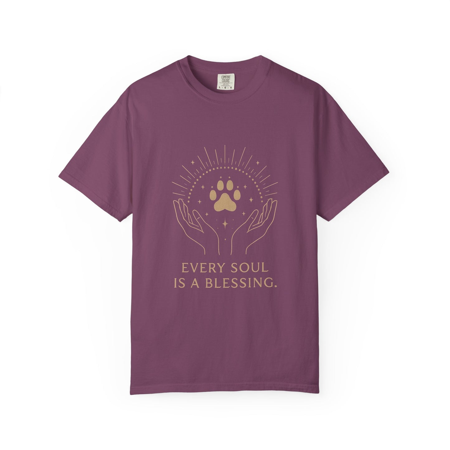 Every Soul Is A Blessing T-Shirt (2)