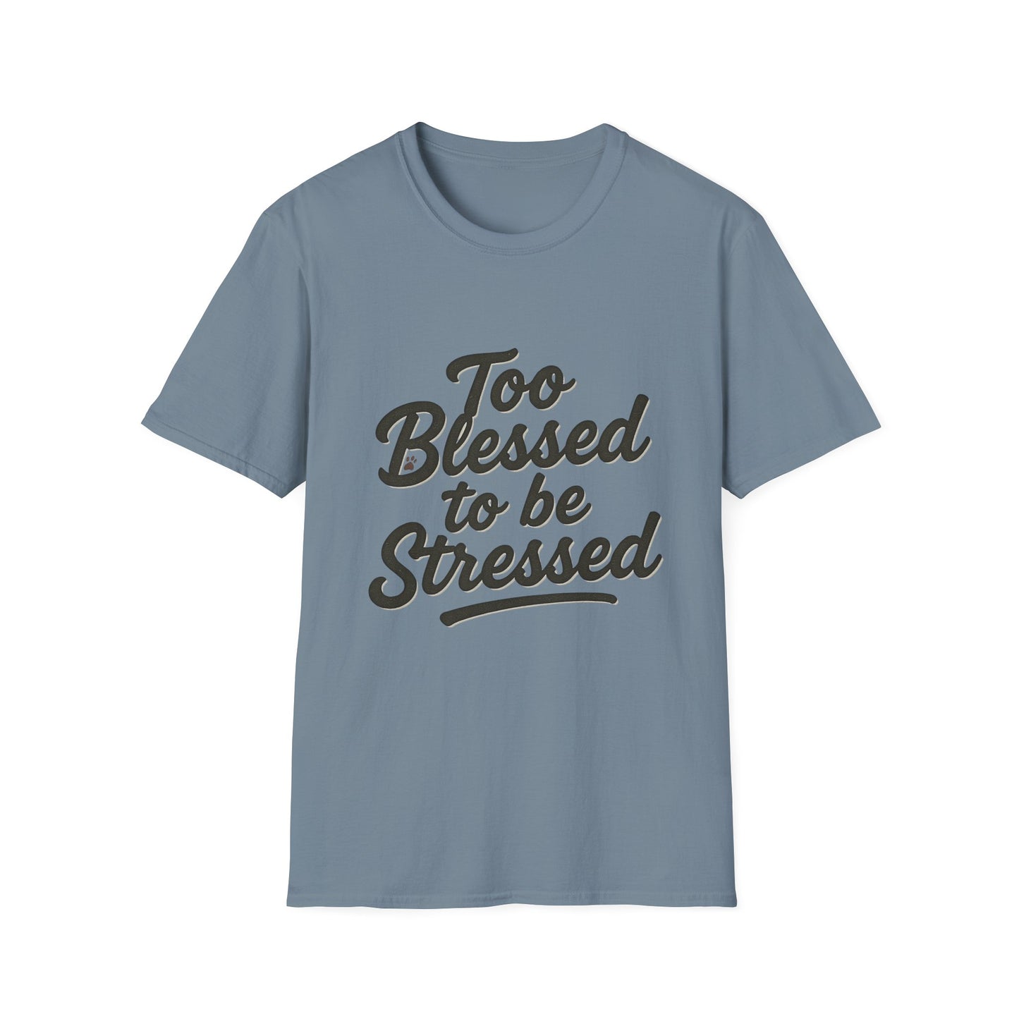 Too Blessed To Be Stressed T-Shirt