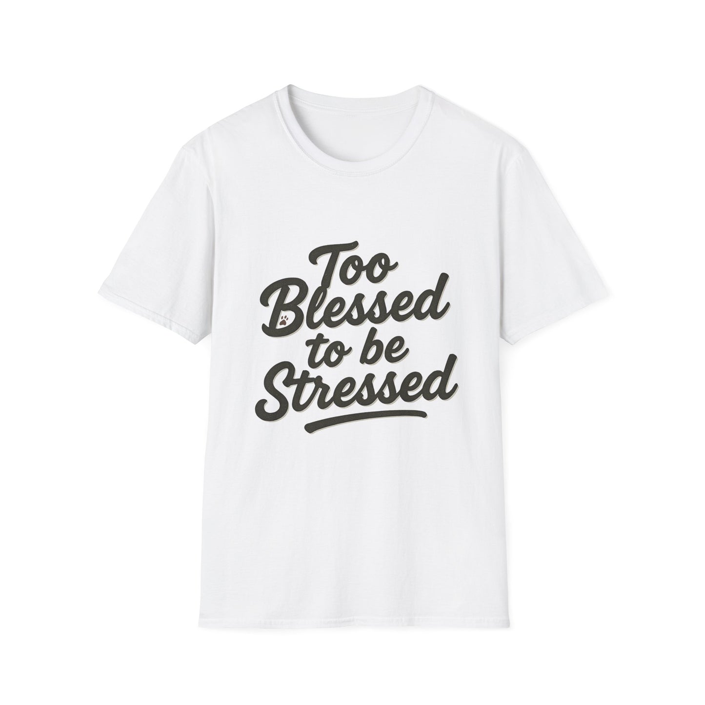 Too Blessed To Be Stressed T-Shirt