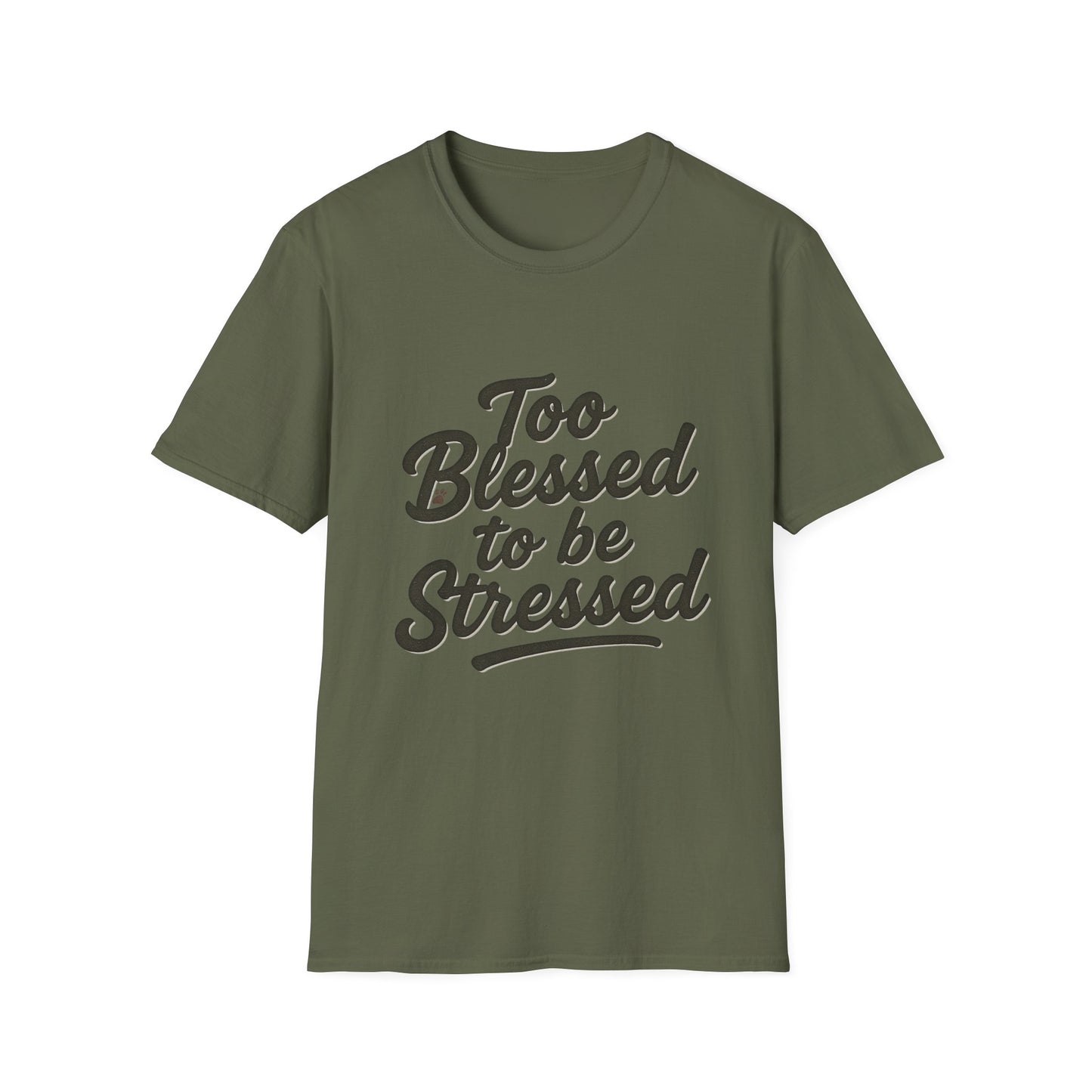 Too Blessed To Be Stressed T-Shirt