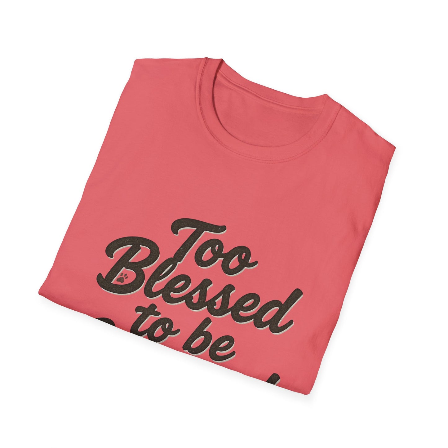 Too Blessed To Be Stressed T-Shirt