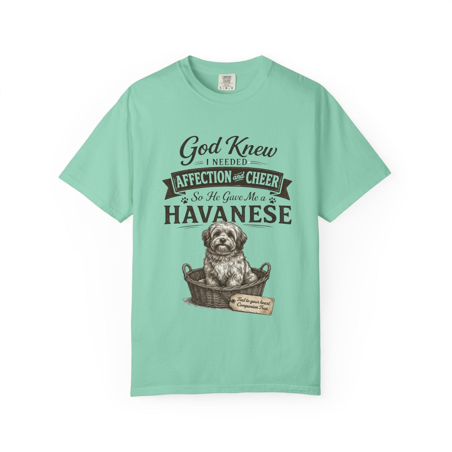 God Knew I Needed a Havanese