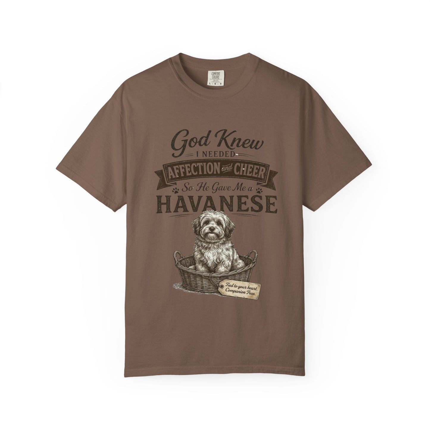 God Knew I Needed a Havanese