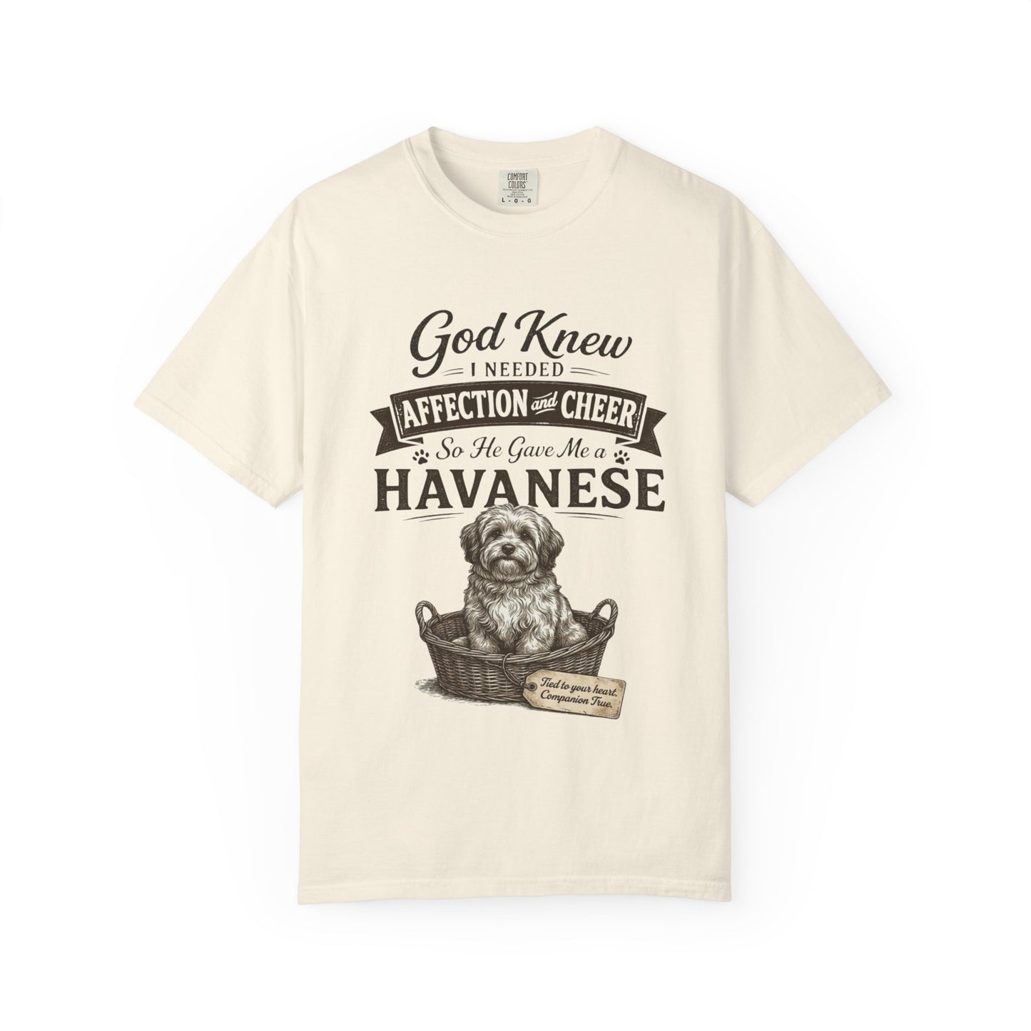 God Knew I Needed a Havanese