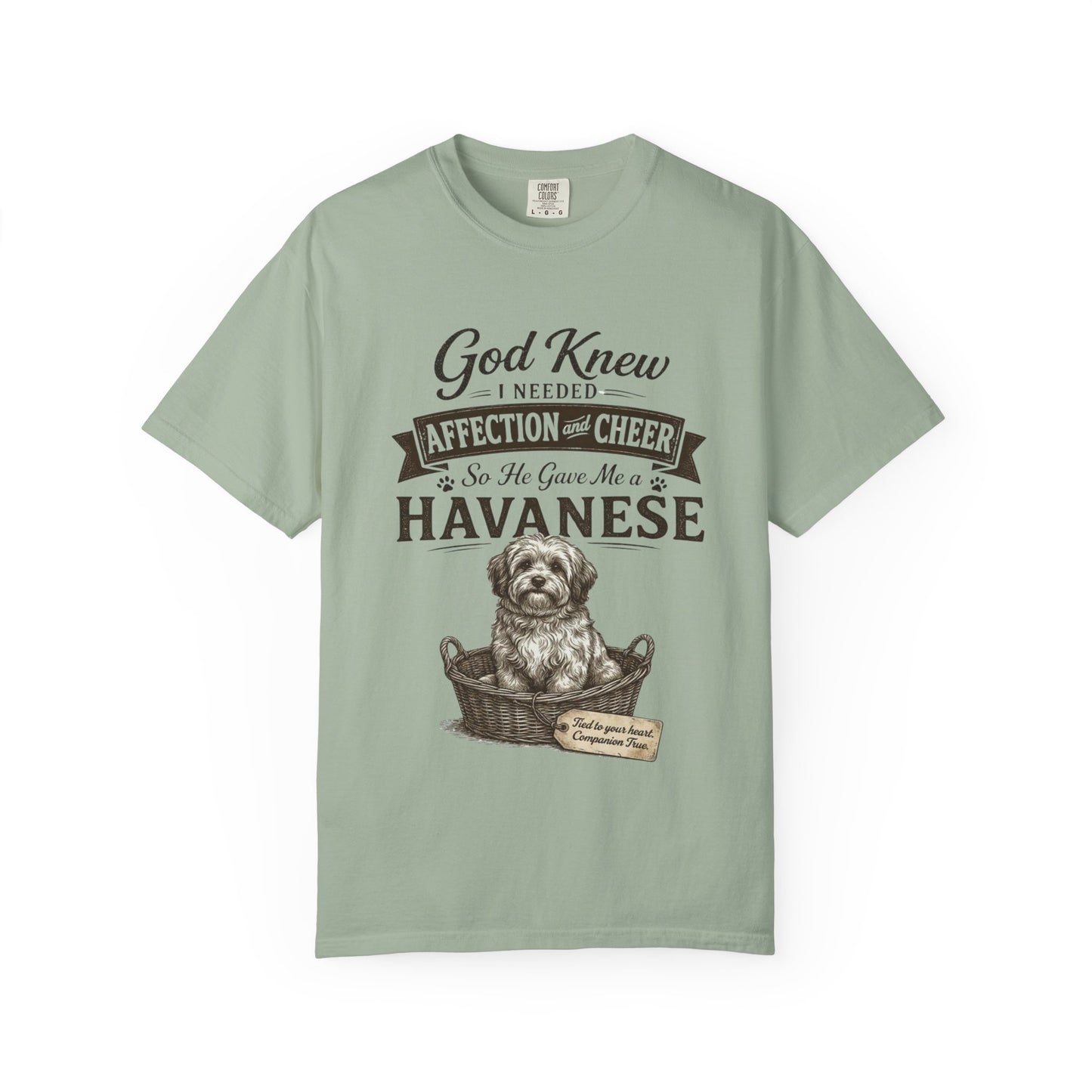 God Knew I Needed a Havanese