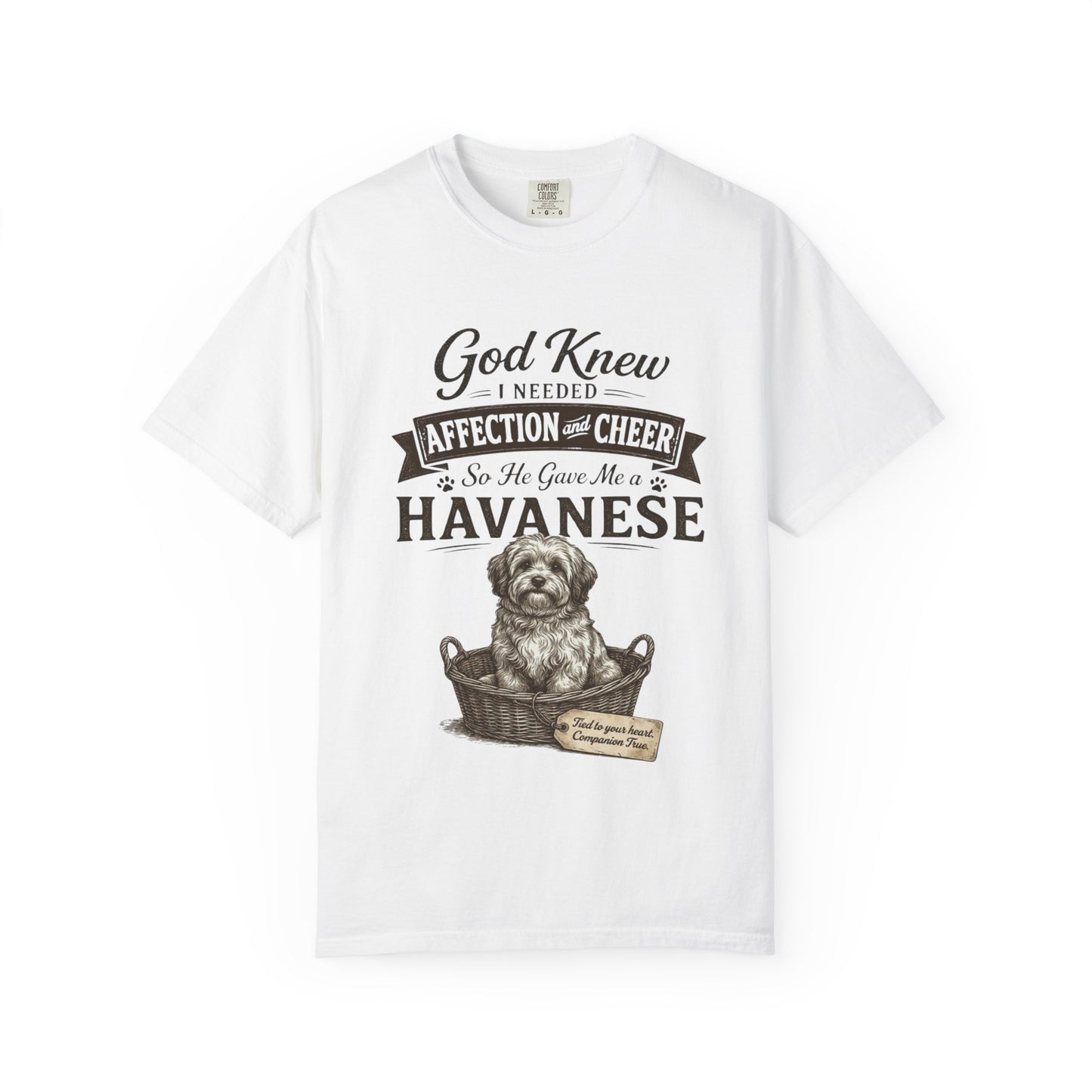 God Knew I Needed a Havanese