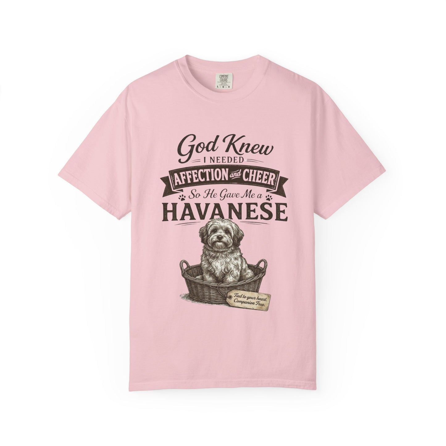 God Knew I Needed a Havanese