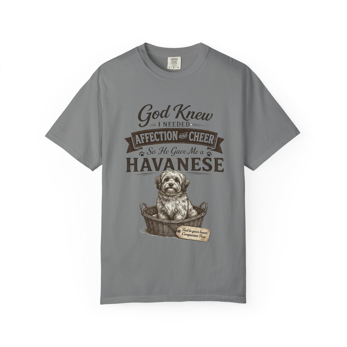 God Knew I Needed a Havanese