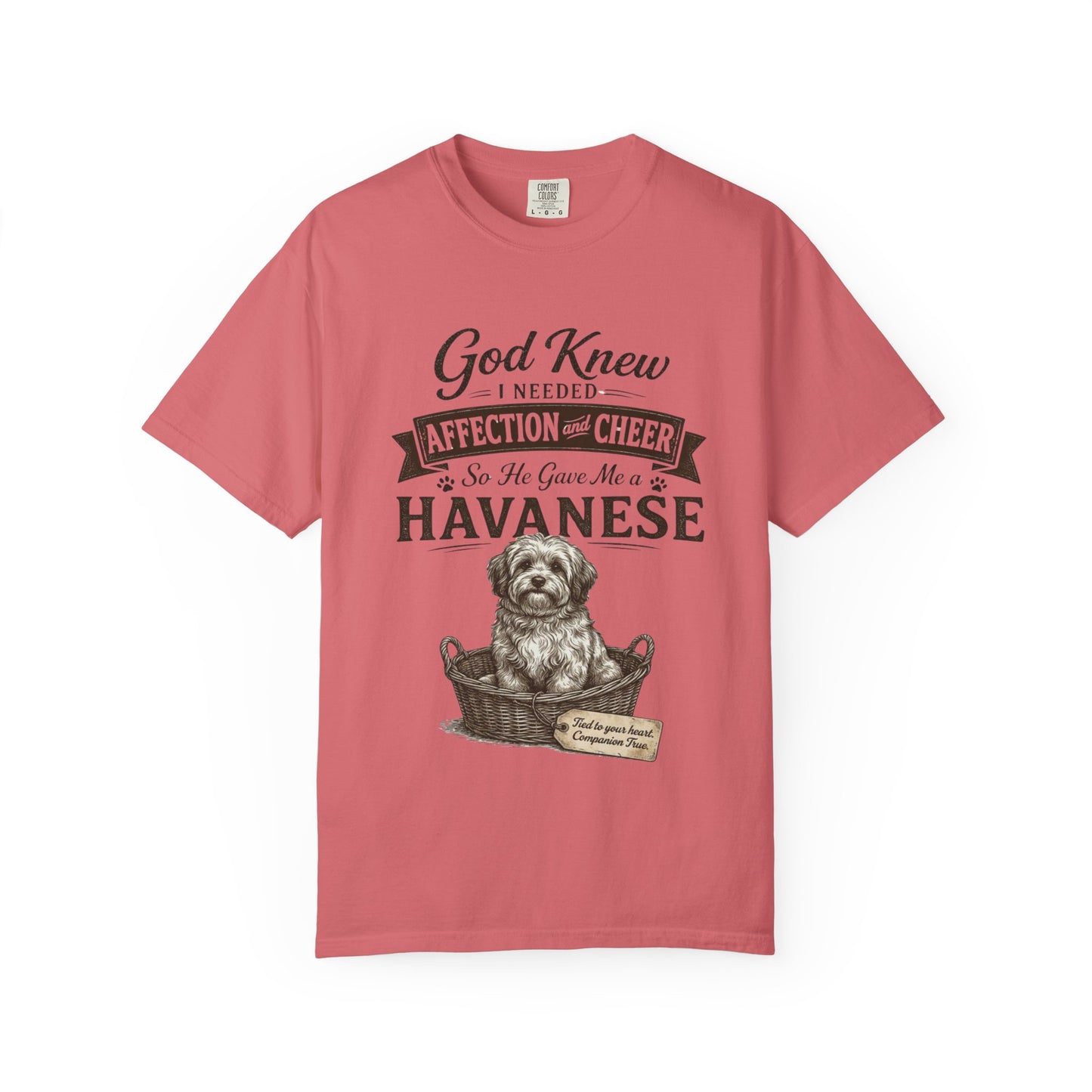 God Knew I Needed a Havanese