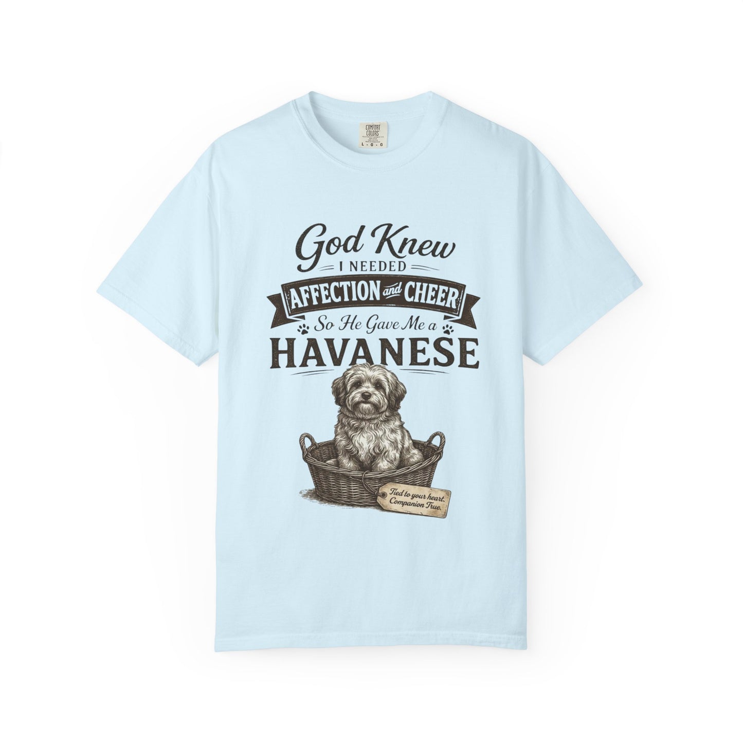 God Knew I Needed a Havanese