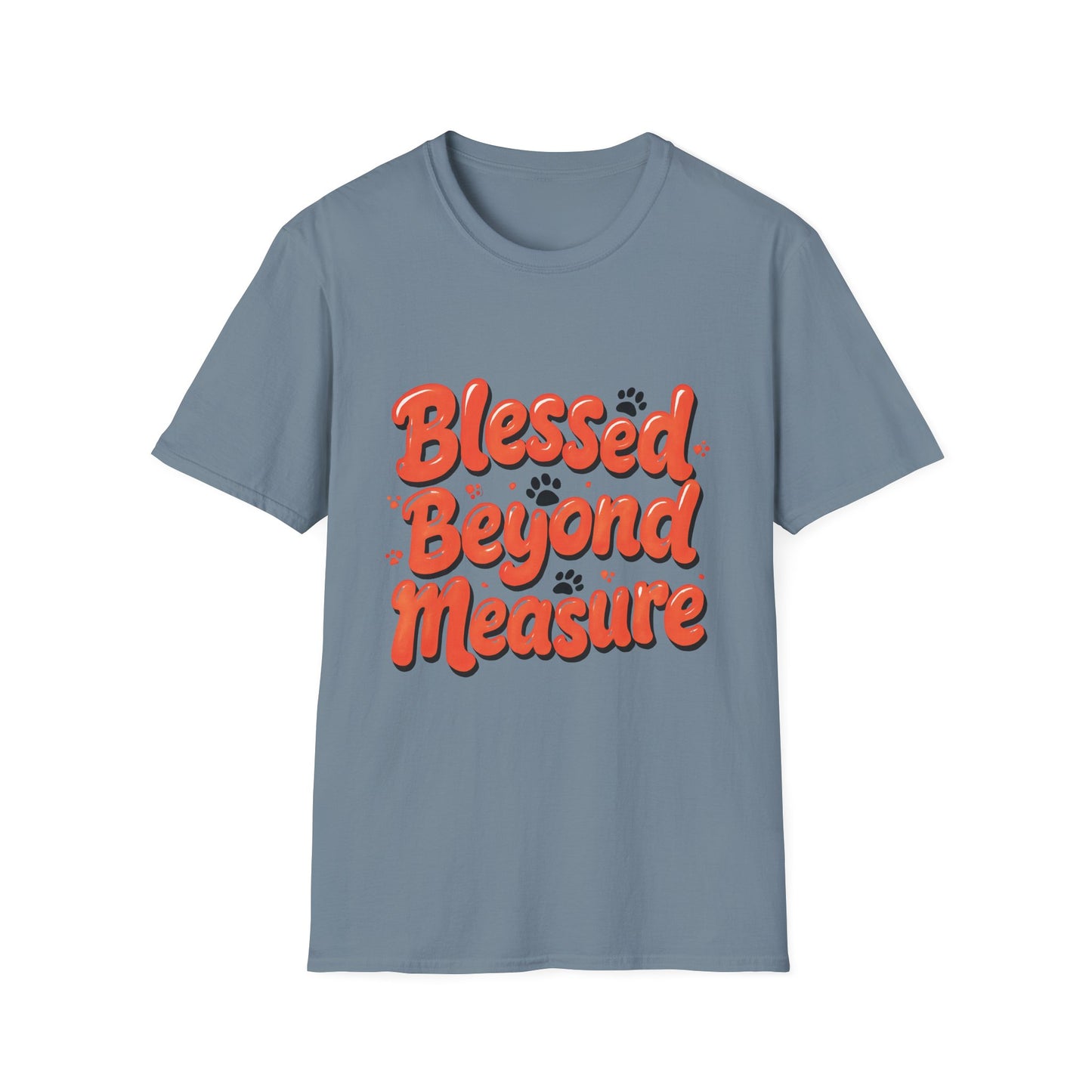 Blessed Beyond Measure T-Shirt